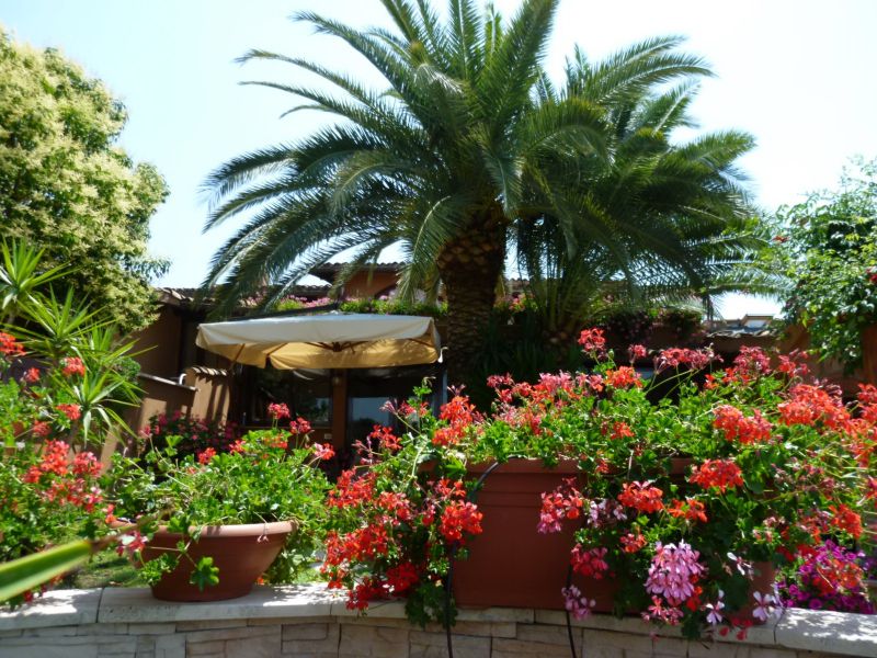 Affitto monolocale  in Residence con giardino e piscina