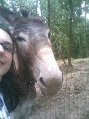agriturismo in ciociaria