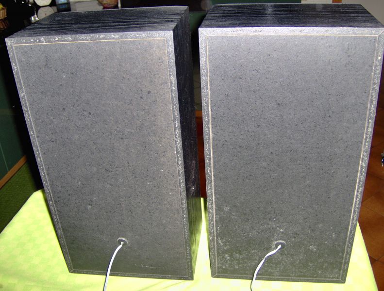 Vendo Diffusori Acustici Sony