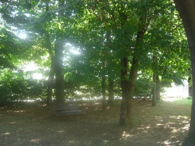 APPARTAMENTO ARREDATO IN VILLA CON PARCO