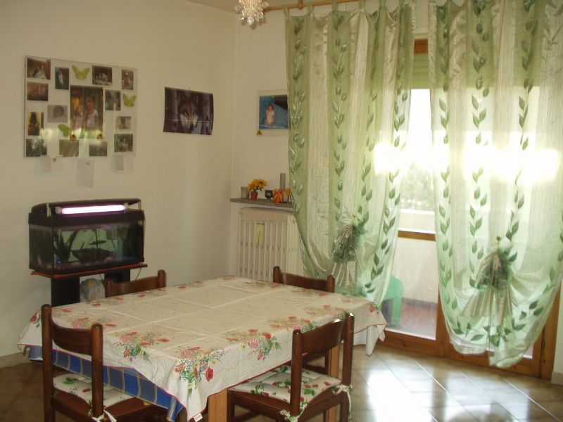 Affitto Appartamento Arredato