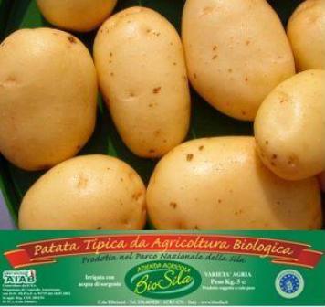 Patate biologiche Calabria