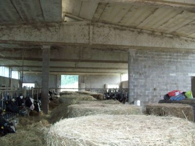 Porzione di rustico con giardino  colline di Salsomaggiore Terme. 