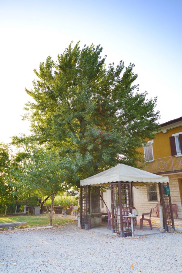 Camere in casolare di campagna