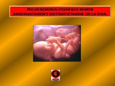 ABORTO SINONIMO DE MENOSPRECIO HUMANO